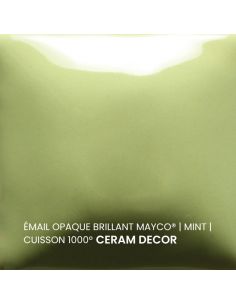 FN053 Email opaque brillant Mint | MAYCO