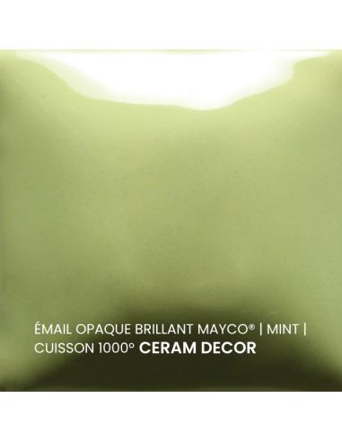 FN053 Email opaque brillant Mint | MAYCO