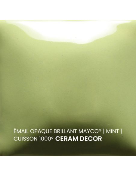 FN053 Email opaque brillant Mint | MAYCO