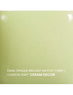 FN053 Email opaque brillant Mint | MAYCO 2