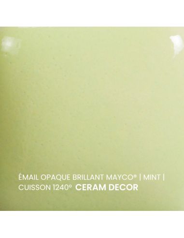 FN053 Email opaque brillant Mint | MAYCO