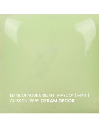 FN053 Email opaque brillant Mint | MAYCO