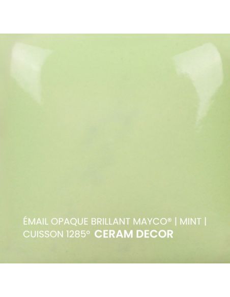 FN053 Email opaque brillant Mint | MAYCO