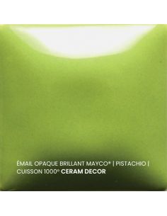 FN054 Email opaque brillant Pistachio | MAYCO