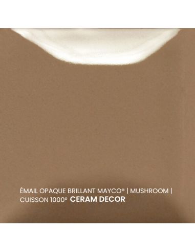 FN060 Email opaque brillant Mushroom | MAYCO