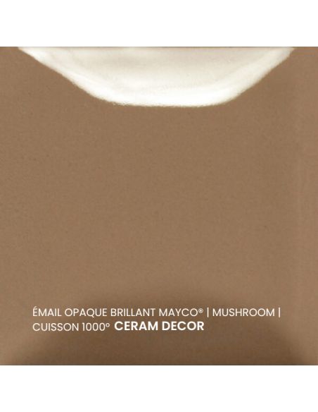 FN060 Email opaque brillant Mushroom | MAYCO