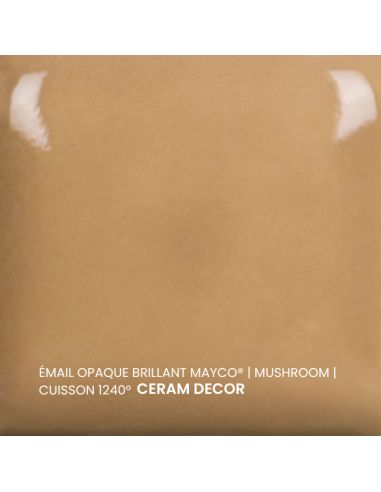FN060 Email opaque brillant Mushroom | MAYCO