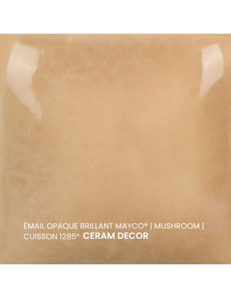 FN060 Email opaque brillant Mushroom | MAYCO