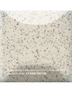 FN061 Email opaque brillant Ivory speck | MAYCO