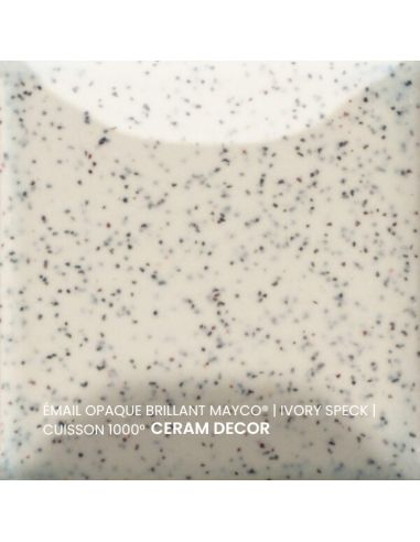FN061 Email opaque brillant Ivory speck | MAYCO