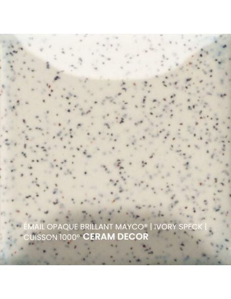 FN061 Email opaque brillant Ivory speck | MAYCO