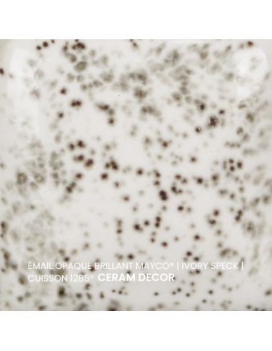 FN061 Email opaque brillant Ivory speck | MAYCO