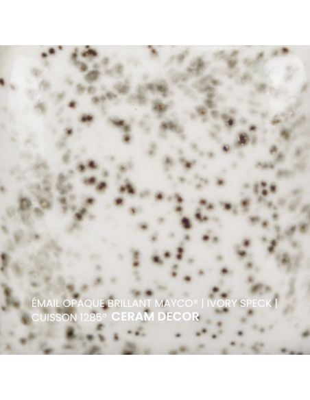 FN061 Email opaque brillant Ivory speck | MAYCO