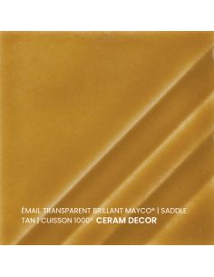 FN205 Email transparent brillant Saddle tan | MAYCO