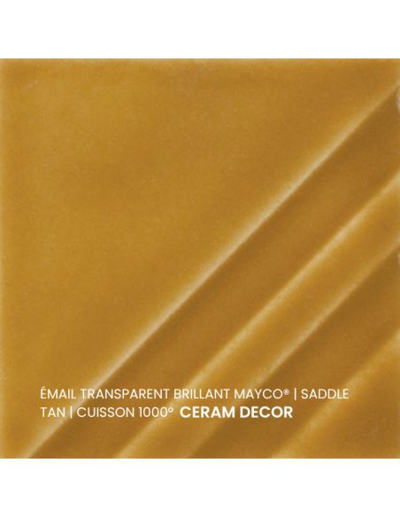 FN205 Email transparent brillant Saddle tan | MAYCO