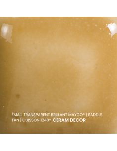 FN205 Email transparent brillant Saddle tan | MAYCO 2