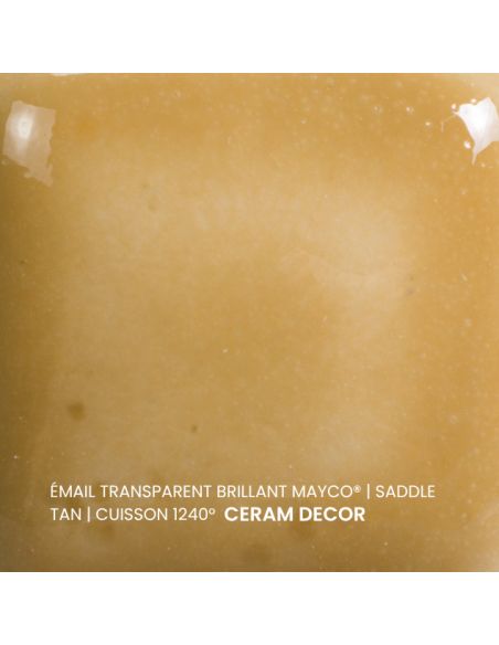 FN205 Email transparent brillant Saddle tan | MAYCO