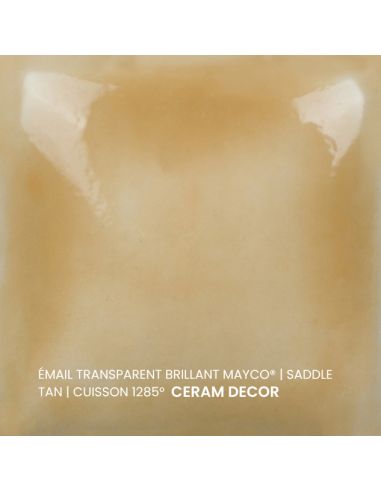 FN205 Email transparent brillant Saddle tan |...