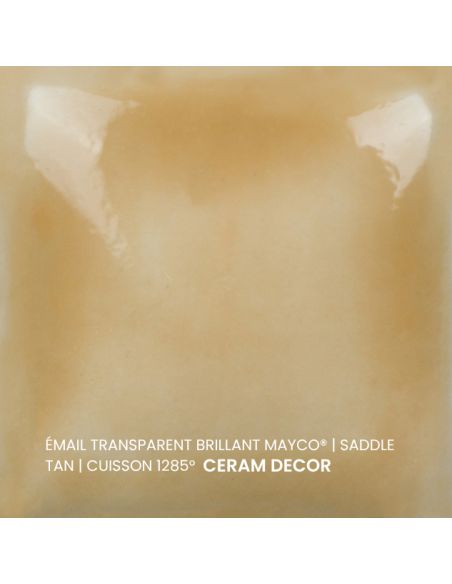 FN205 Email transparent brillant Saddle tan | MAYCO