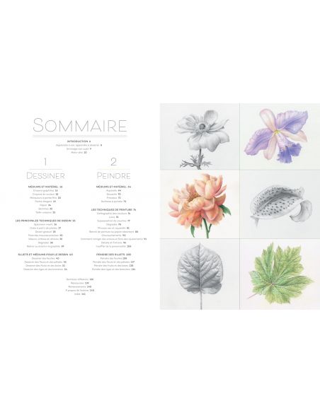 Livre "L'art botanic" de Karen Kluglein