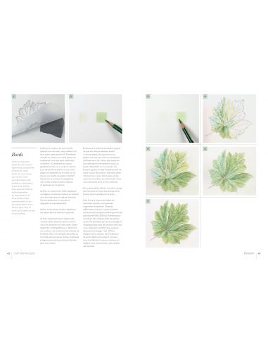Livre "L'art botanic" de Karen Kluglein
