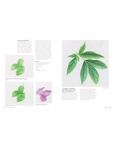 Livre "L'art botanic" de Karen Kluglein