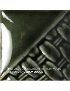 SW120 Email classic Northern woods | MAYCO
