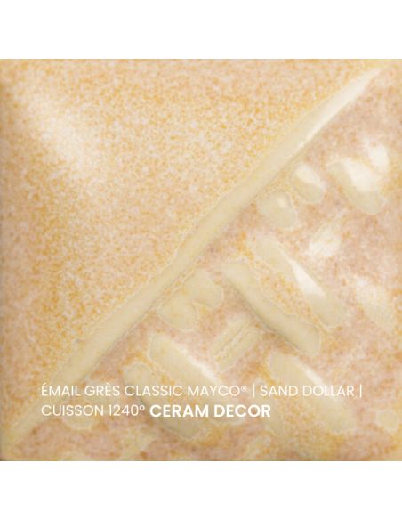 SW196 Email classic Sand dollar | MAYCO