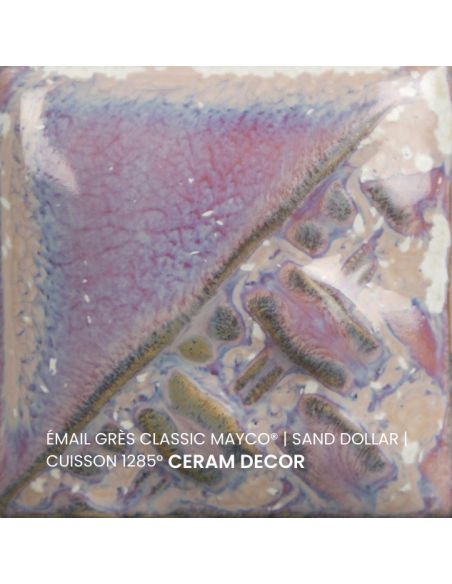 SW196 Email classic Sand dollar | MAYCO