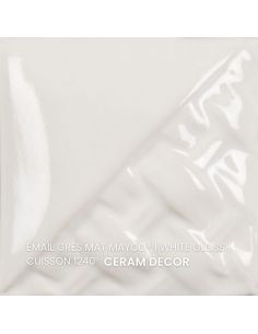 SW501 Email White gloss | MAYCO