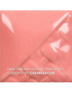 SW511 Email Pink gloss | MAYCO