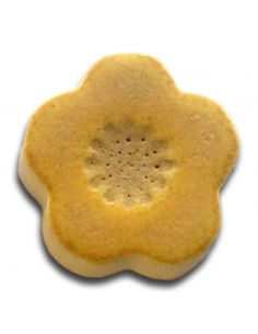 SP1403 EMAIL SHINO CITRON