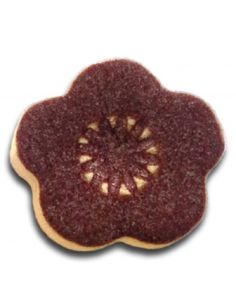 SP1407 EMAIL SHINO AUBERGINE