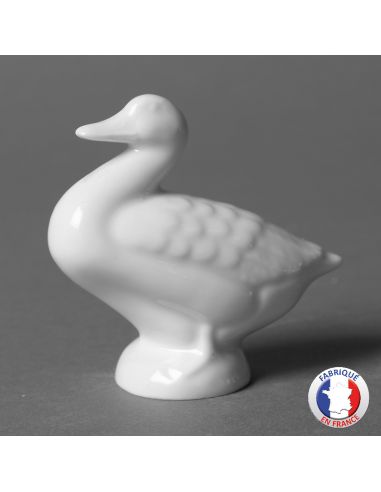 CANARD MM