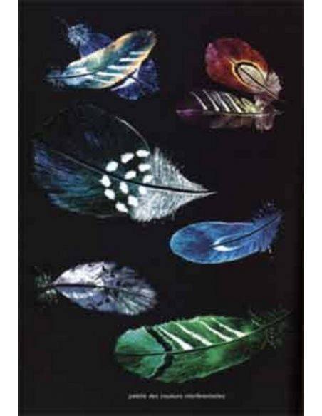 LIVRE DE CATHERINE - CB 4 - TECHNIQUE SCANDINAVE 005127