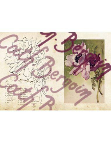 FLEURS ET PORCELAINE - CATHERINE BERGOIN