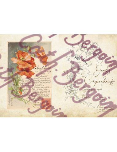 FLEURS ET PORCELAINE - CATHERINE BERGOIN