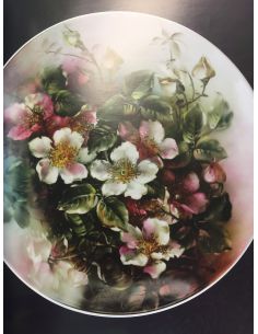 LIVRE - GLAZING FLOWERS  FILIPE PEREIRA 2