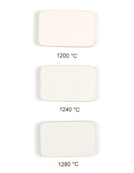 PORCELAINE DE BAVIERE CHAMOTTEE 20 % 0-1.0 - G1112