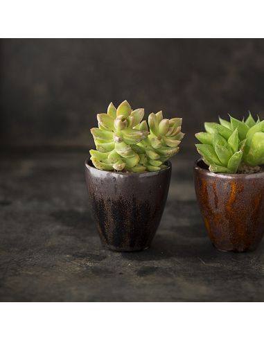 BO9576 Émail faïence Or cuivré |BOTZ