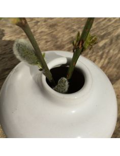 BO9876 Émail Grès blanc brillant | BOTZ 2